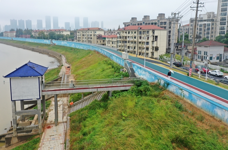 龍王港加固堤防保安全