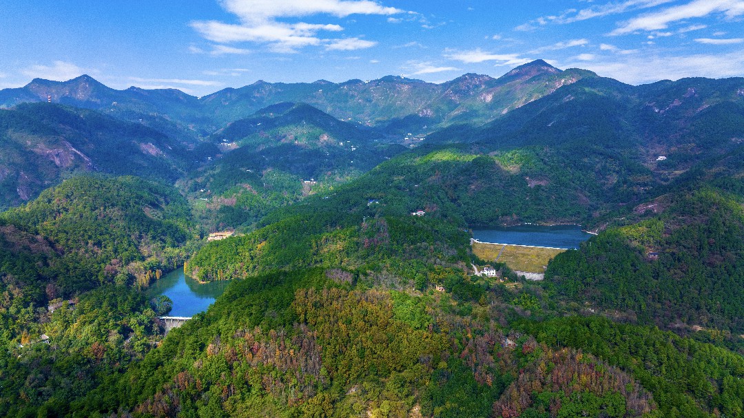 生態(tài)環(huán)境持續(xù)改善 崇安髭蟾首次現(xiàn)身南岳衡山