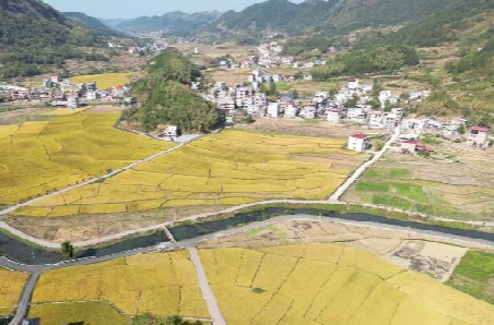 学习园地 | 新宁安山乡车头村：做好融合文章，彰显基层统战新活力