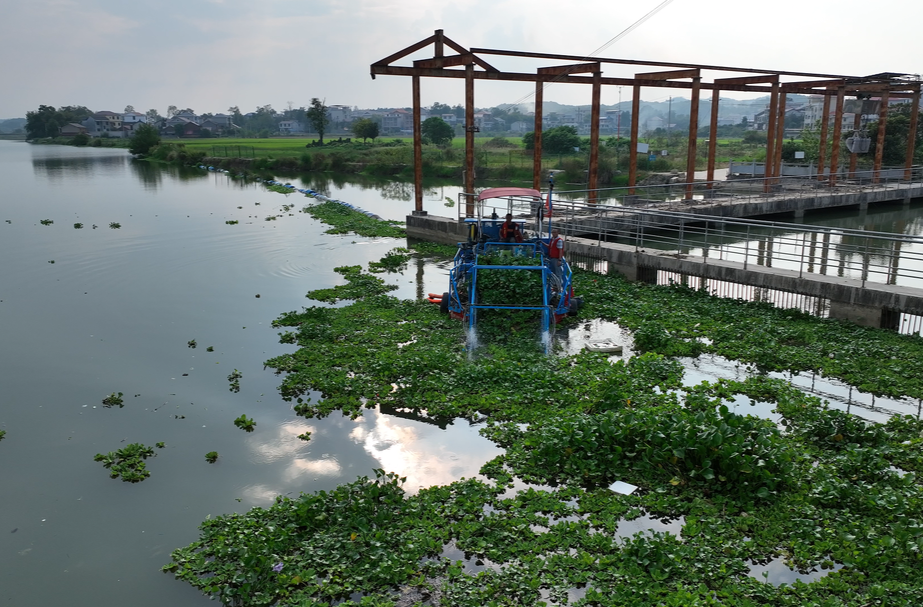 邵阳市：河道清理不松懈 岸洁水清焕新颜