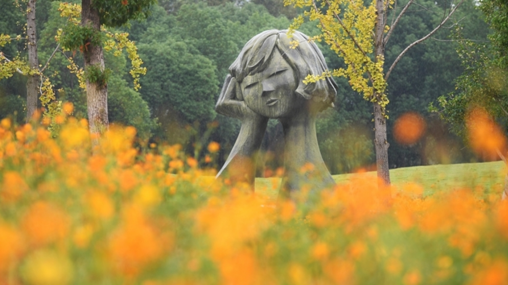 Sea of Golden Flowers at Yanghu Wetland Park