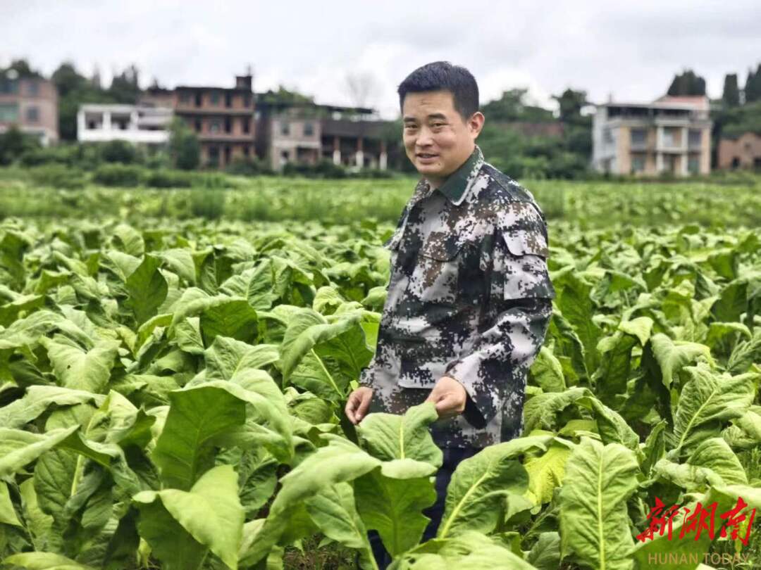 肖平华：当好“领头雁” 蹚出致富路