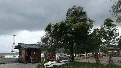 立秋以來最強冷空氣來襲！多地發(fā)布寒潮預警→