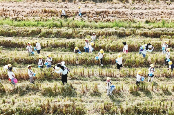 江华高标准农田建设如火如荼@湖南日报