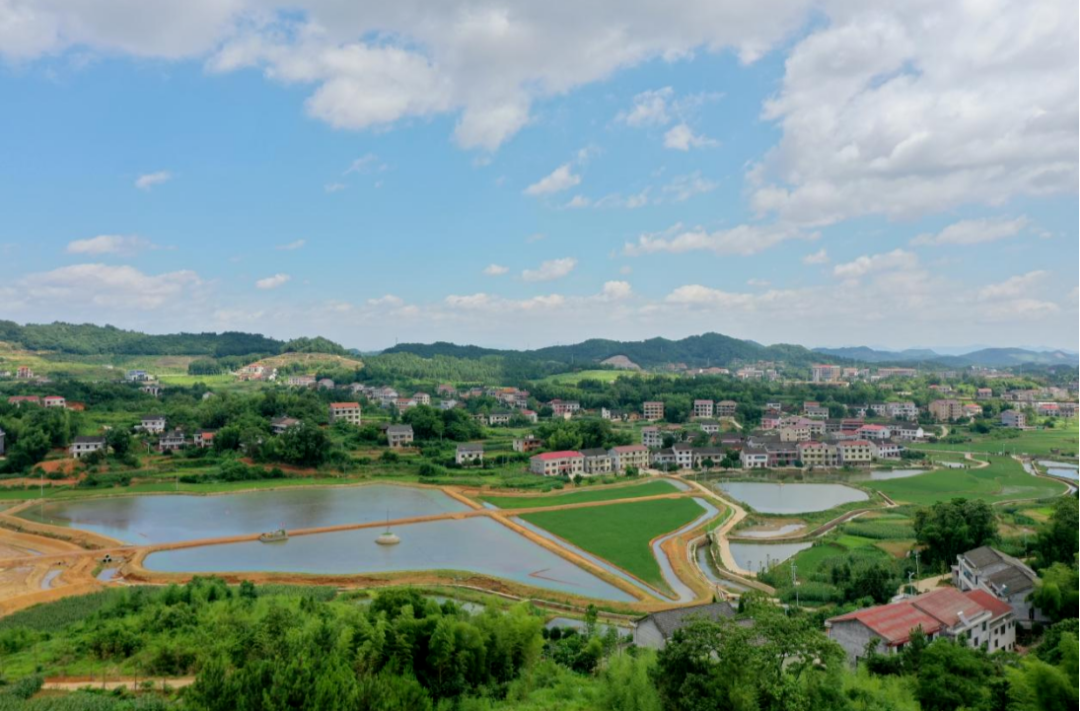 上村山•辛小湘回乡记丨和美石塘蜕变记