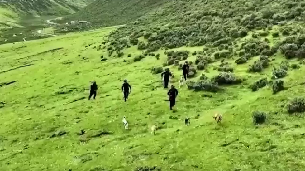 燃！中國警犬大賽堪比警匪大片