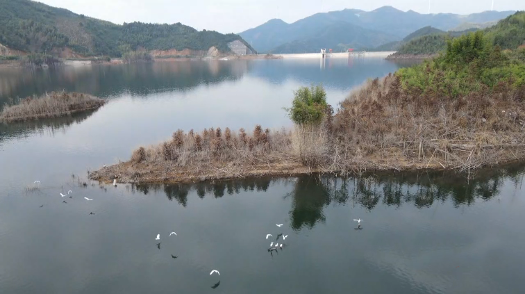美丽蓝山：碧水白鹭飞，生态画卷美