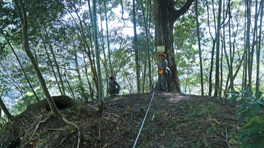 Wild Plant Protection Enhanced in Bamian Mountain Natural Reserve