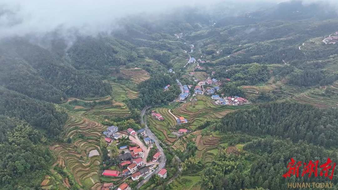 【大美鹤城】 鹤城区：水垅梯田云雾缭绕 美不胜收