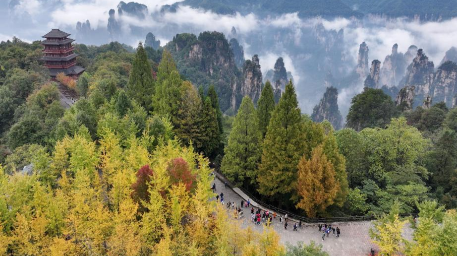 Autumn scenery across China