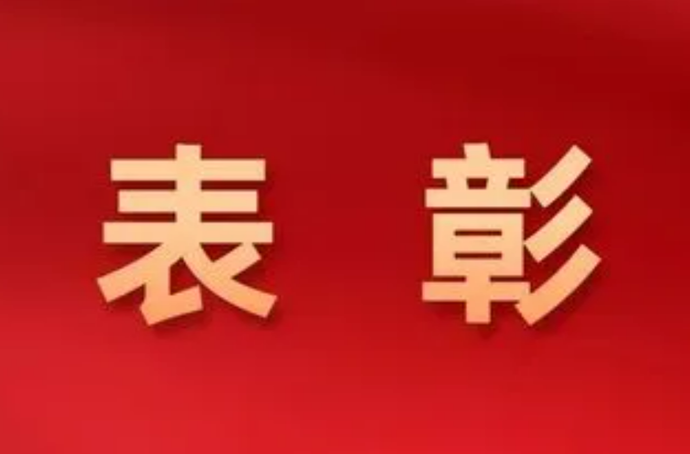 湖南省委决定表彰这些优秀党员和先进基层党组织