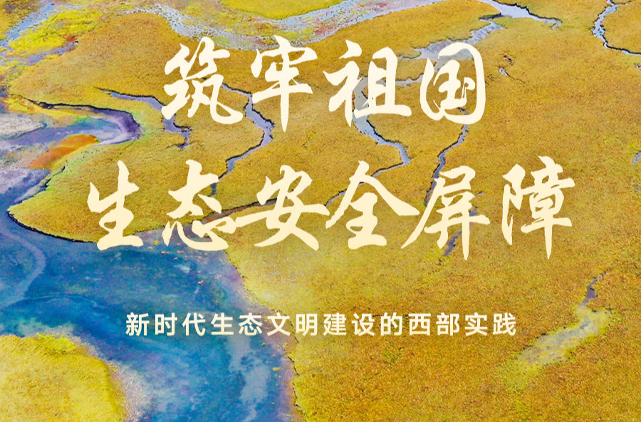 筑牢祖国生态安全屏障——新时代生态文明建设的西部实践