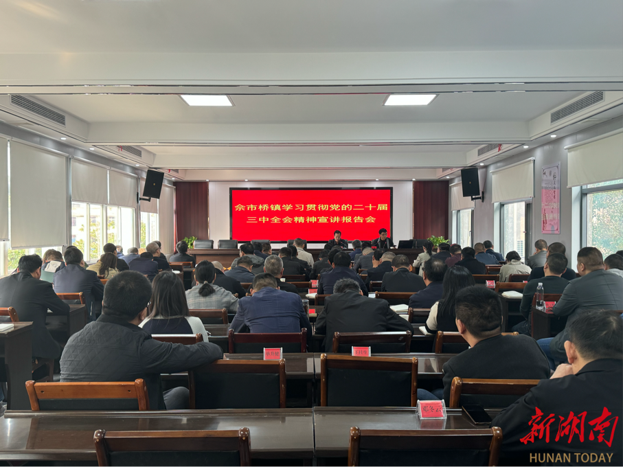 佘市桥镇召开学习贯彻党的二十届三中全会精神宣讲报告会