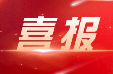 喜报！省应急厅项目被评选为湖南省“数据要素×”典型案例