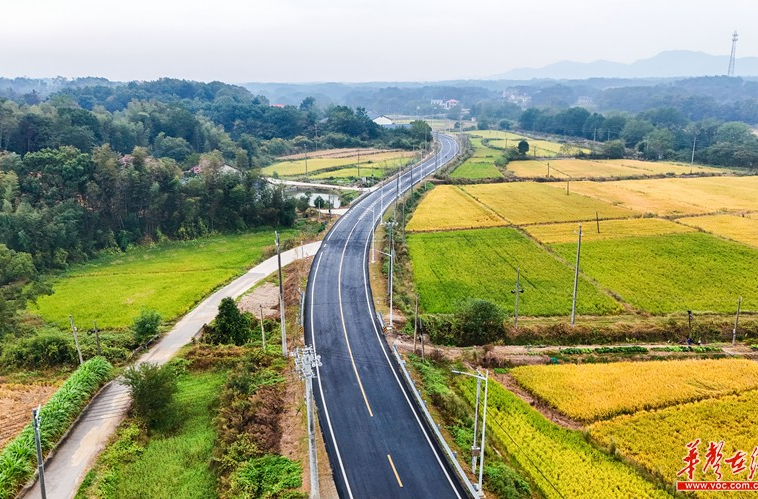 和美湘村 一路向阳丨“四好农村路”串起乡村振兴新图景