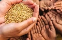 芙蓉国评论丨答好“丰收卷”，筑牢“压舱石”