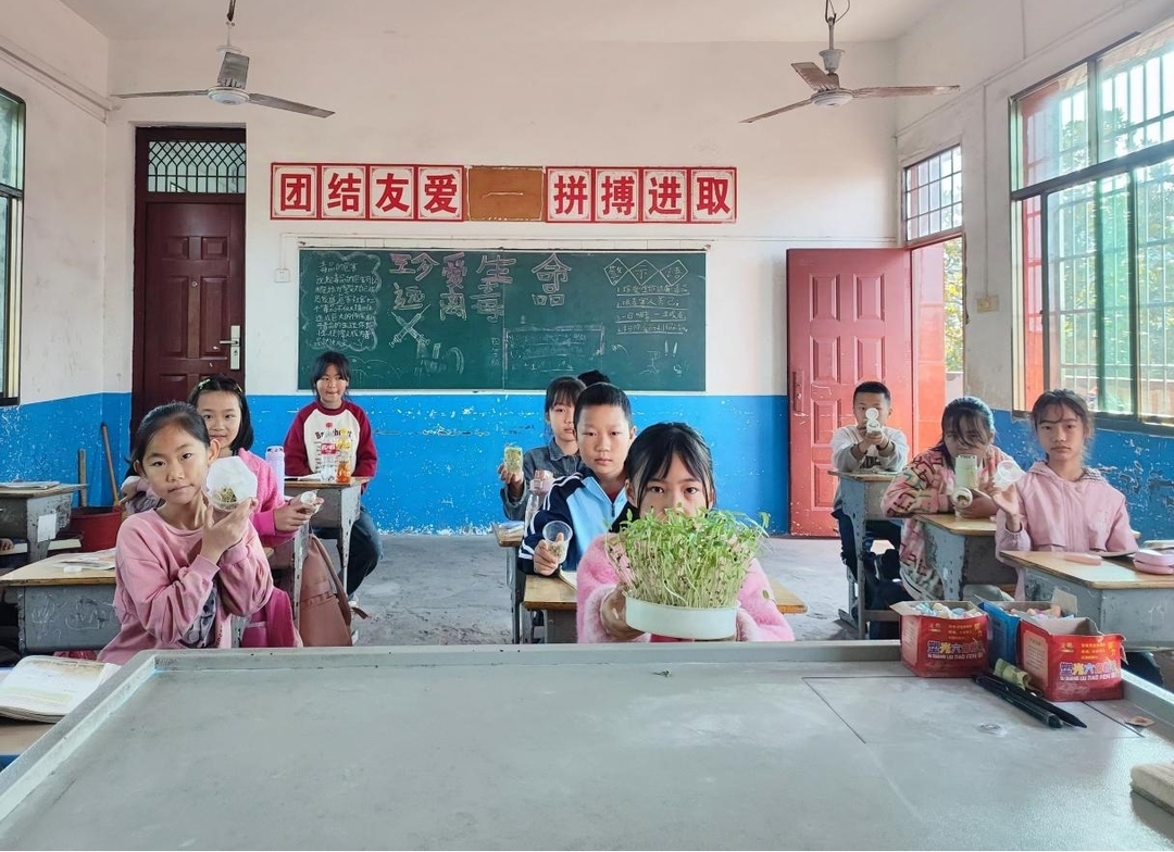 衡南县江口联合学校泉边小学开展实践活动