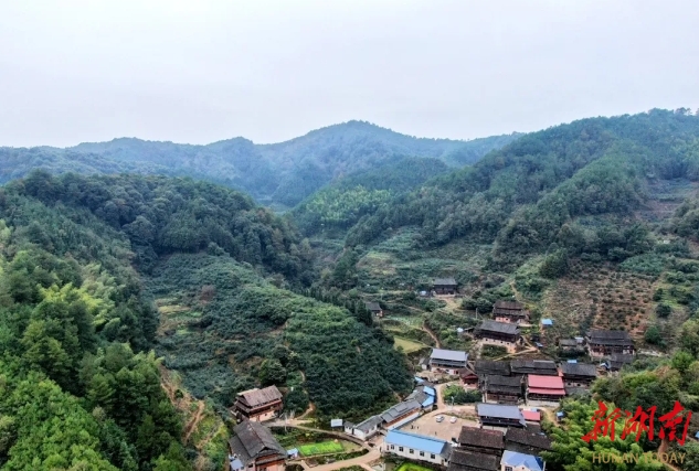 稳步扩大中药材种植面积 推进湖南省中药材种植基地示范县建设