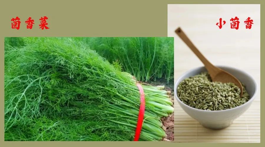 萝卜白菜靠边站，这道素菜暖身又补肾！秋末冬初吃一吃，还能防流感、防感冒