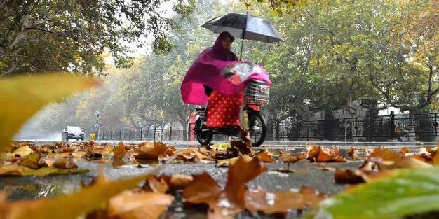 强冷空气来袭！今年是暖冬还是冷冬？最新研判