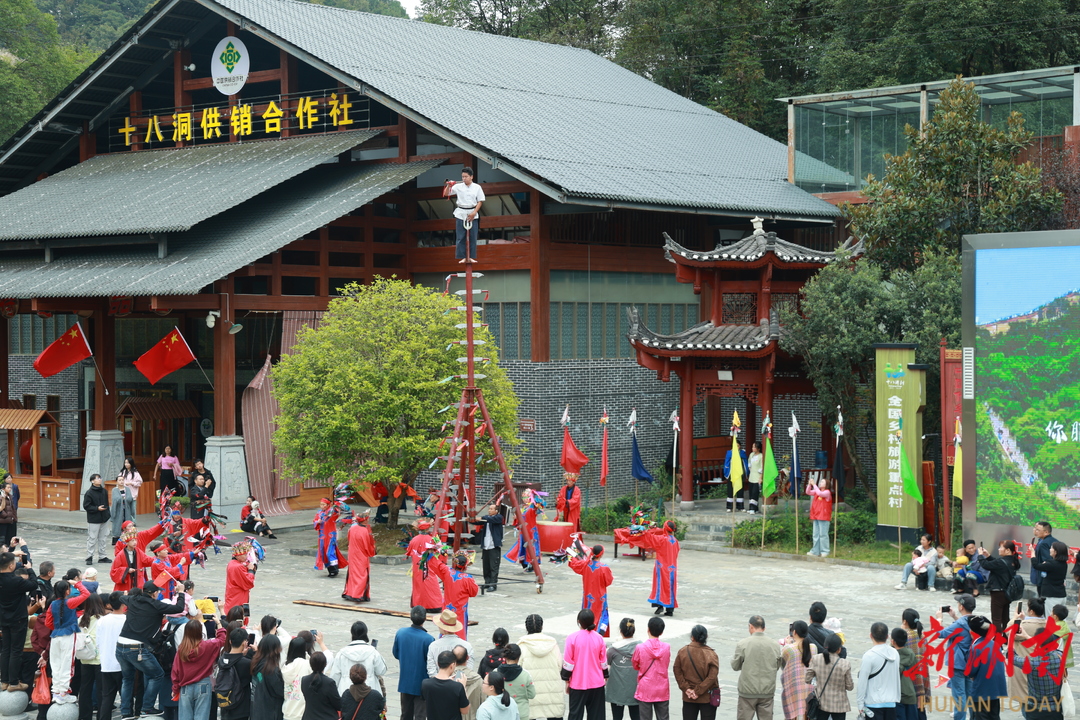 芙蓉国评论丨乡村振兴璀璨，风起魅力三湘