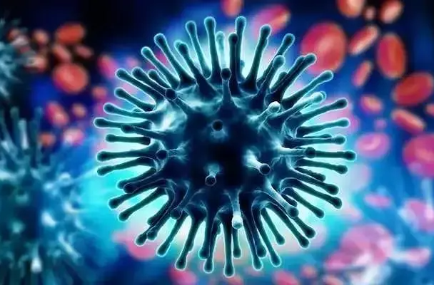呼吸道感染性疾病和病毒性腹泻进入高发季节，疾控部门提醒：11月重点防范流感等传染病
