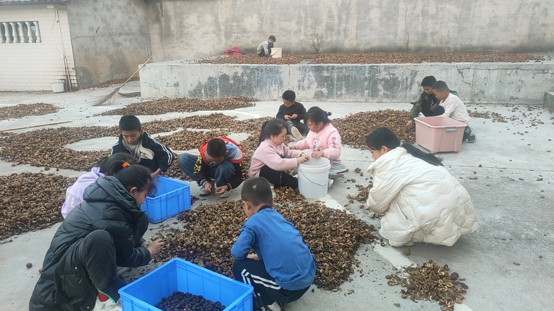 衡南县铁丝塘联合学校巨麓小学开展劳动实践活动