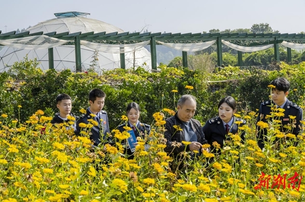 洪江區(qū)稅務(wù)：稅惠添彩 助力莊園星光熠熠