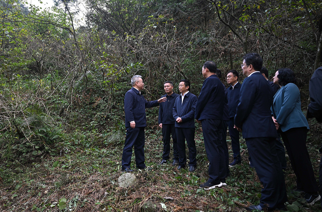 沈晓明调研永州经济社会发展情况