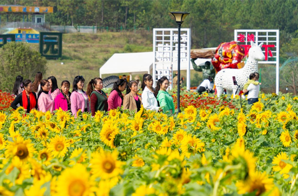 Visitors Enjoy Blooming Autumn Flowers in Yongzhou City