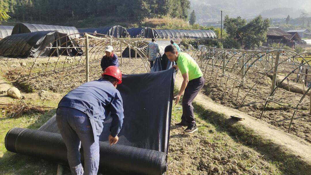 洪江市堙上村：羊肚菌产业助推乡村振兴