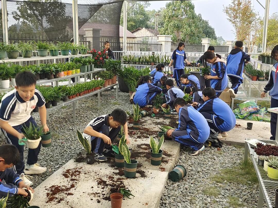 中方县芙蓉中学图片