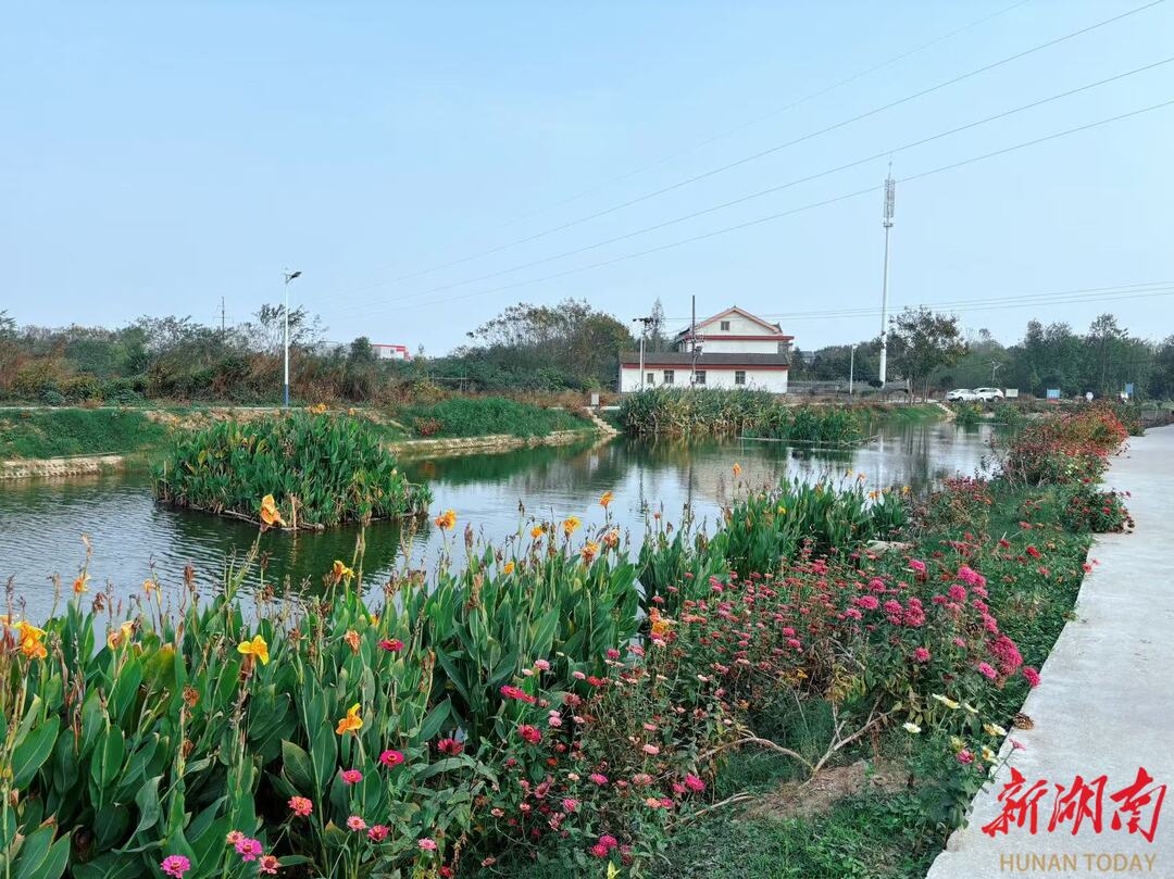 對黑臭水體實施“一水一策”治理，生態(tài)環(huán)境滿意度測評 常德連續(xù)4年保持全省第一