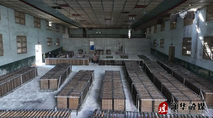 江华：桑蚕种养 增收新“丝”路