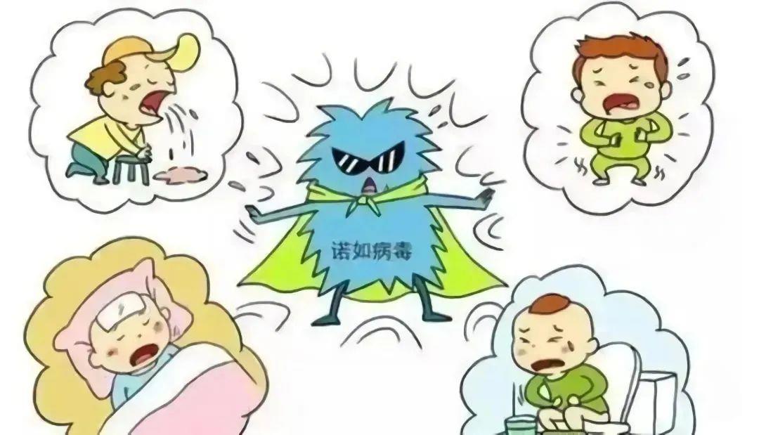 诺如病毒有哪些特征？如何预防？一文了解