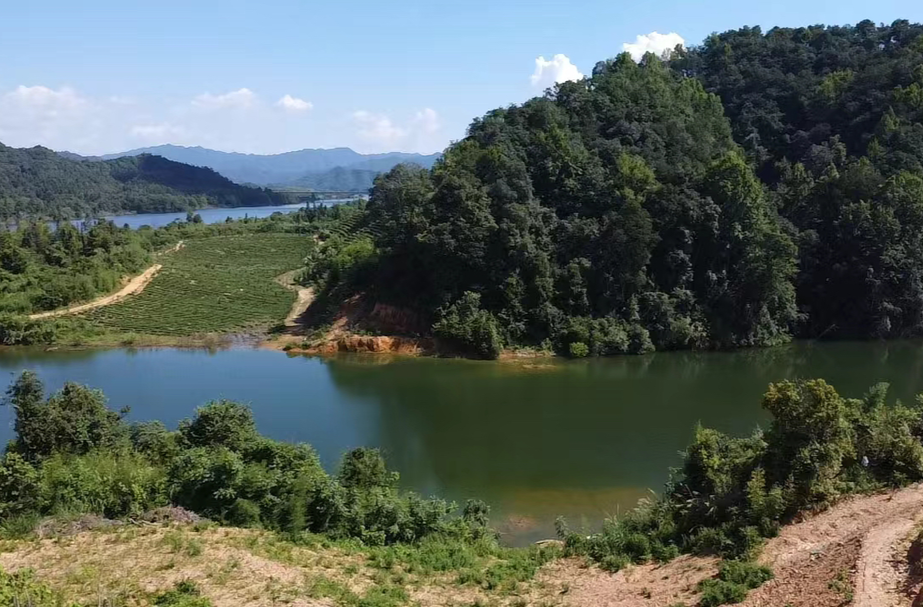 永嘉岩坦南岸水库图片