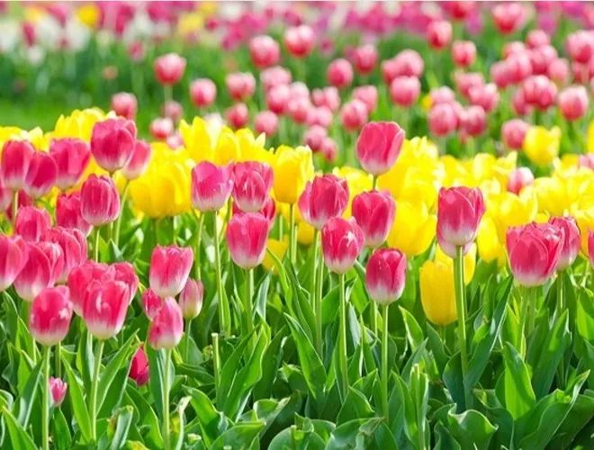 让你永不发脾气的三个字！