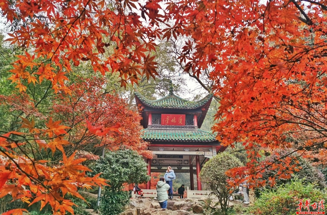 萬千氣象看湖南｜你喜歡的湖南，快紅了