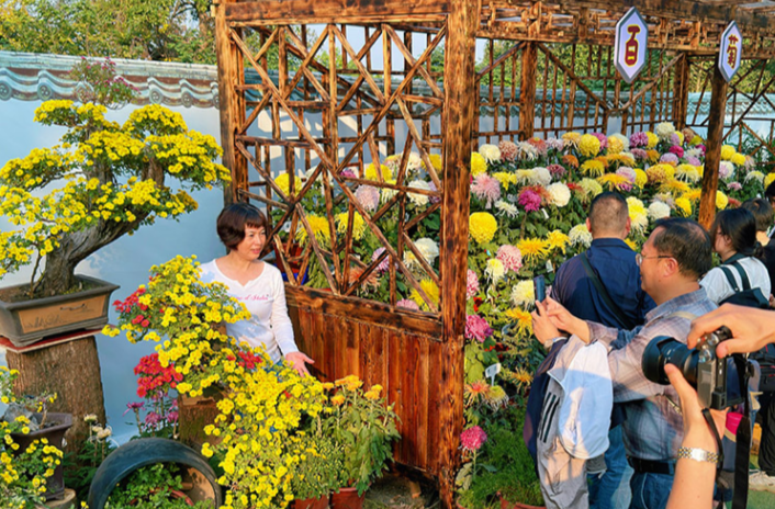 People Enjoy Chrysanthemums on Yuelu Mountain