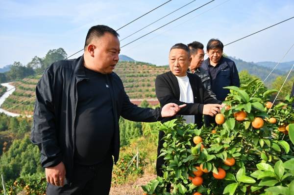 奔向现代化之涟源篇④丨减负出实效@湖南日报