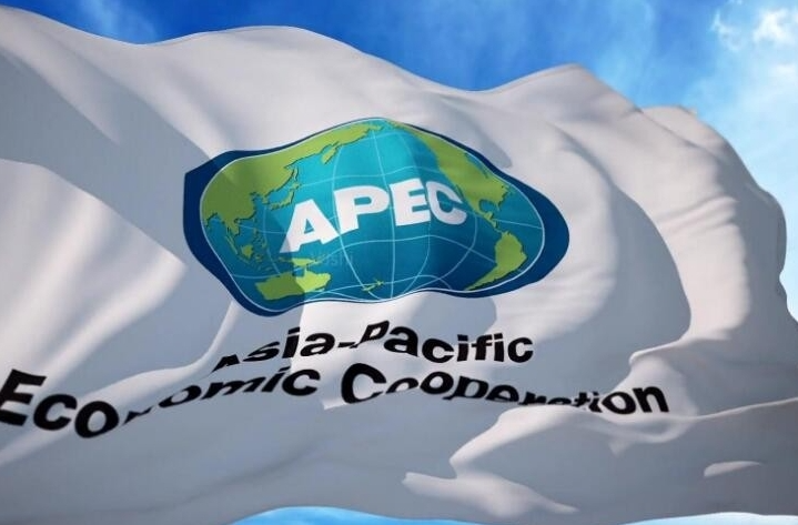 China's Trade with Other APEC Economies Hits Record High in Jan.-Oct.