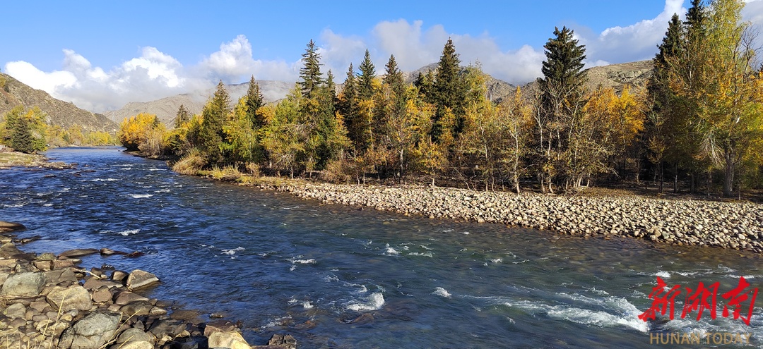 散文丨儿时的小河