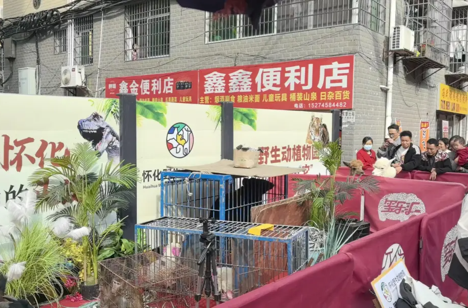晓华理发店周围连夜扩路！“比我剪100个头发都高兴”