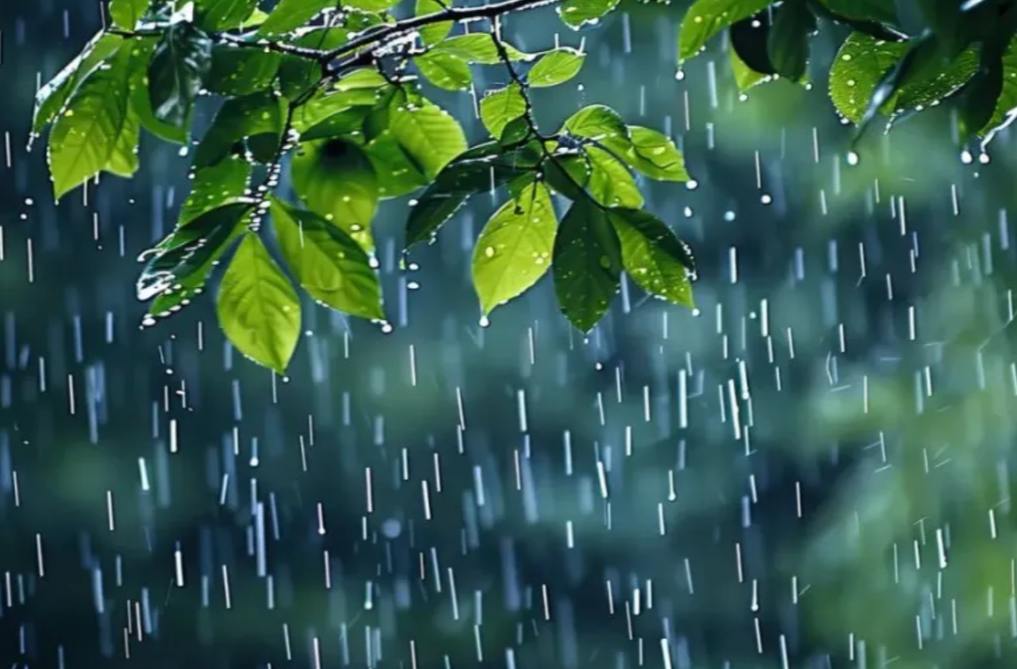 今晚至15日白天局地有暴雨