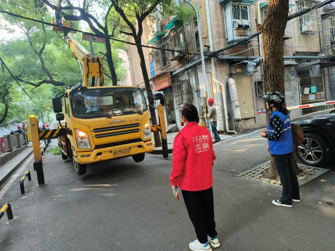 桂花社区：“树线矛盾”隐患大，小巷网格员来帮忙