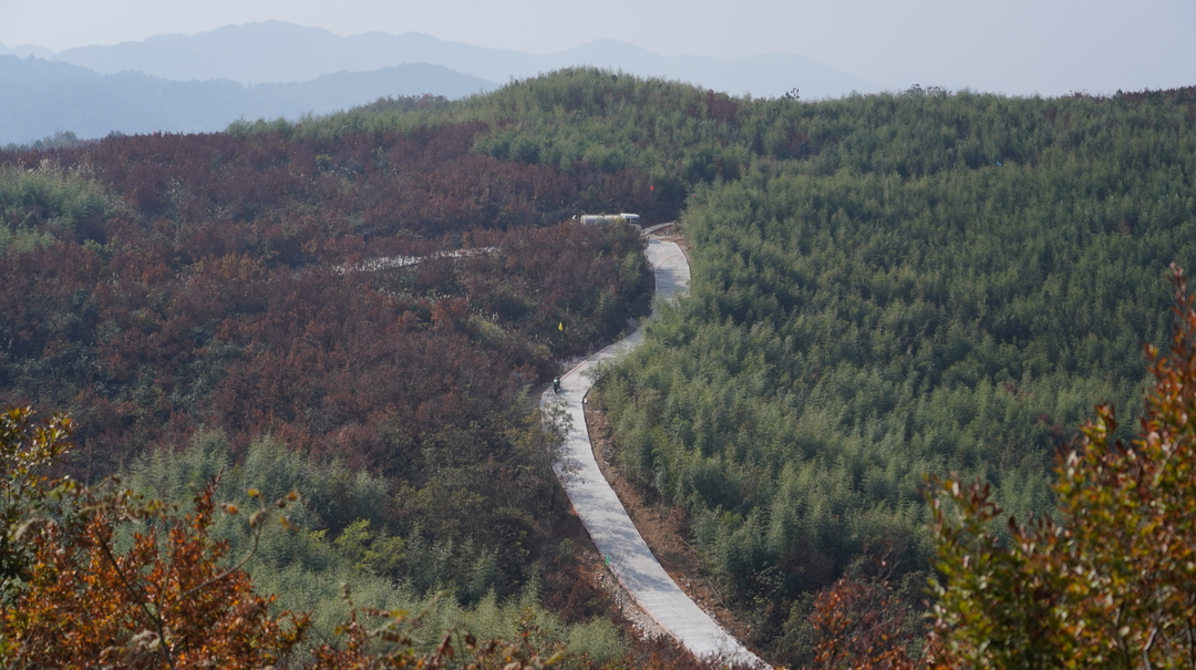 中方县加快推进重点项目建设，野生百合原生境保护区项目整体工程12月底完工