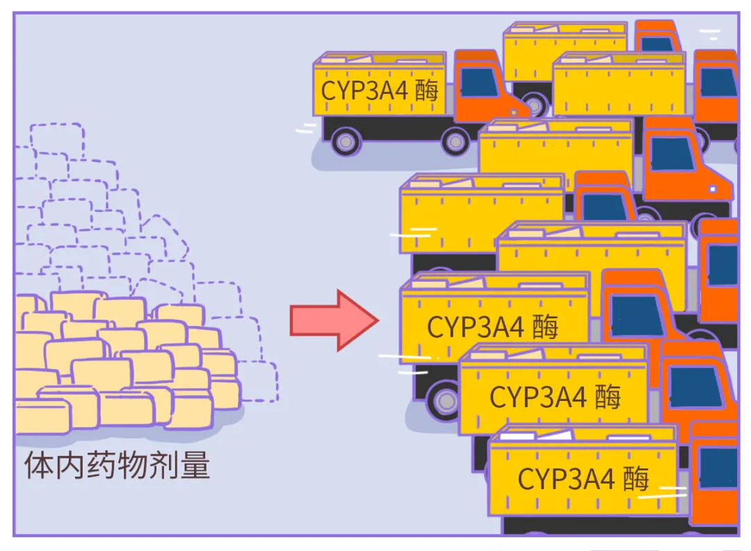 但凡在吃药，就最好别吃这种水果