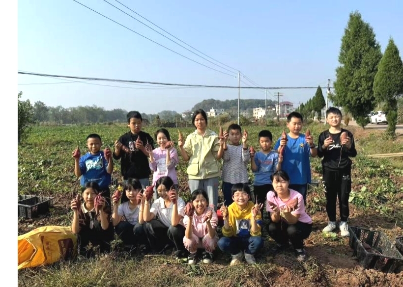 衡南县泉湖联合学校回龙小学开展社会劳动实践活动