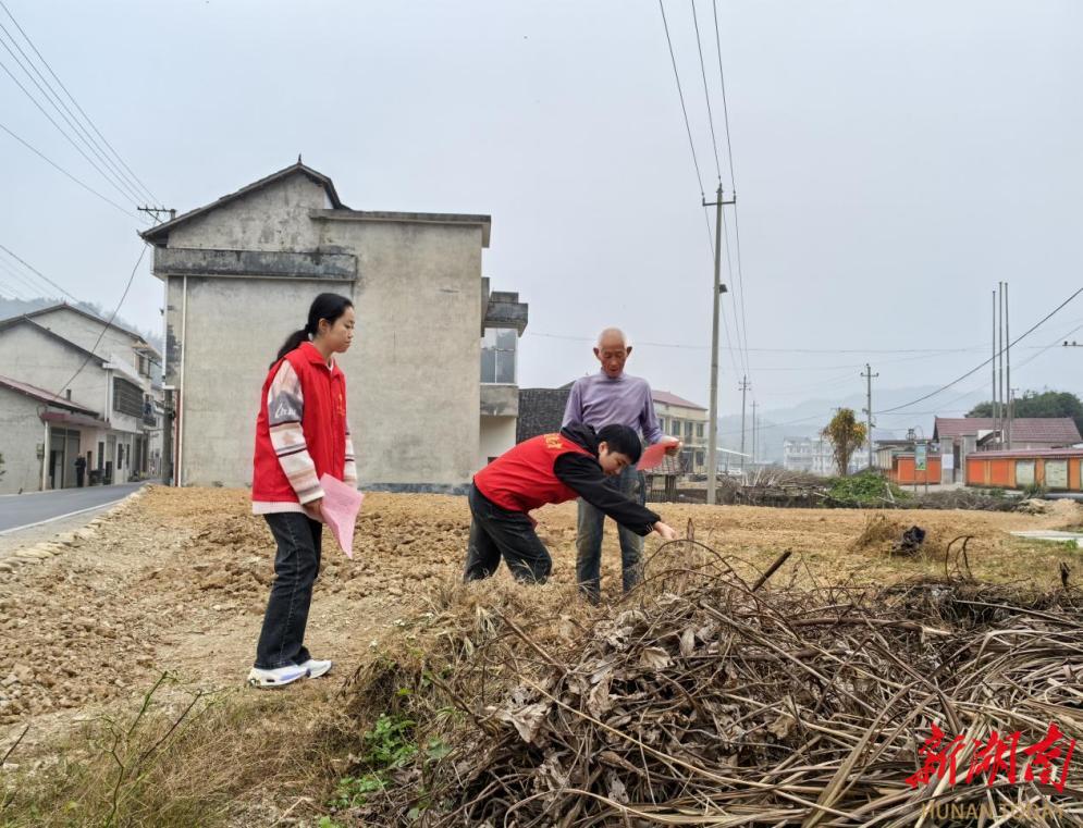 搞好秸秆综合利用，安化县冷市镇政协有作为