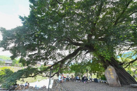 “最佳旅游乡村”总数第一！中国乡村惊艳世界